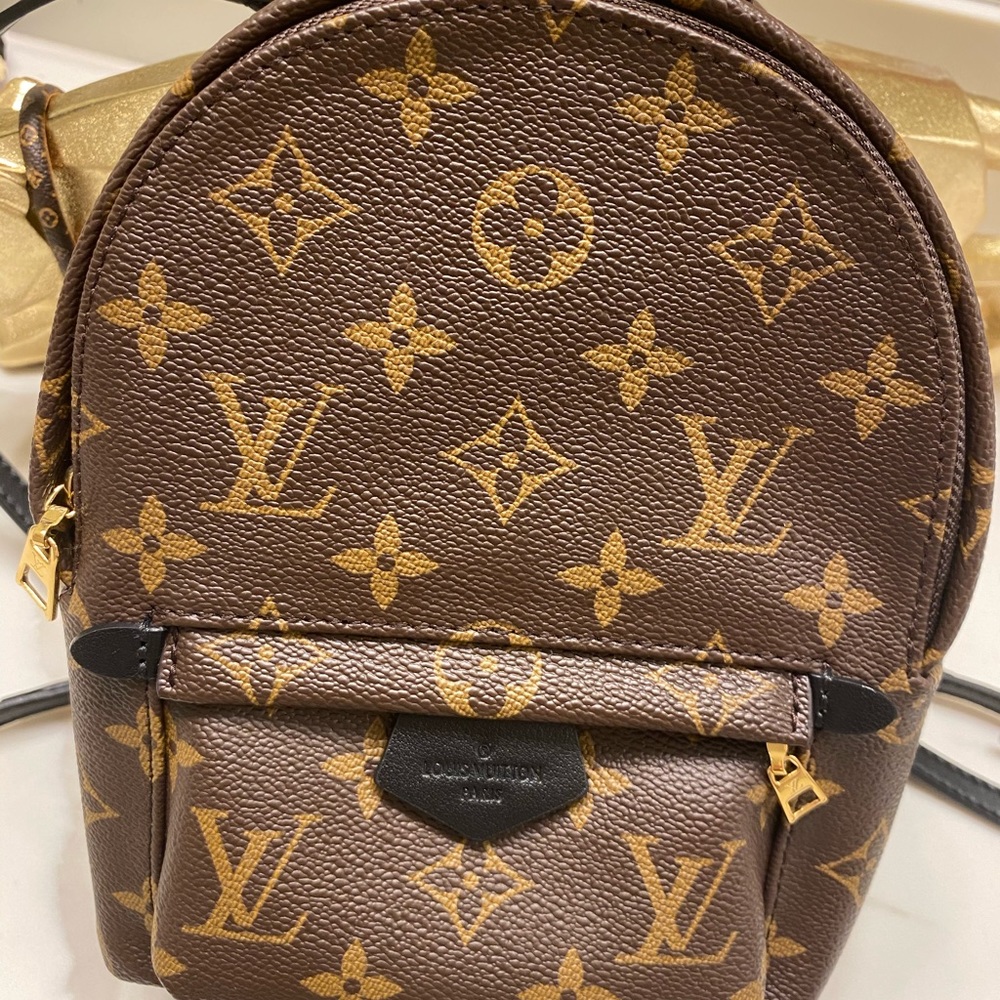 LV palm spring mini